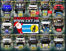 將圖片載入圖庫檢視器 專業避震改裝